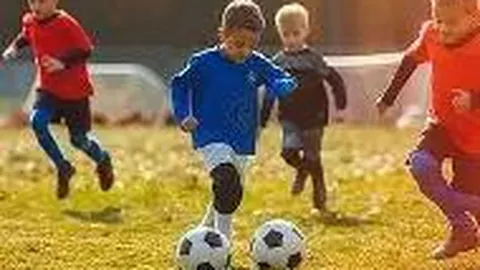 开云体育app优惠 产品 123950 0ks