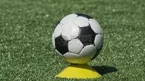 开云体育app优惠 产品 122013 hlh