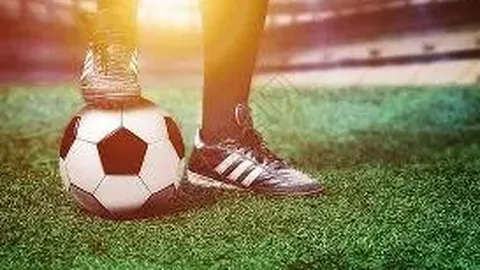 开云体育app优惠 资讯 122839 q2u