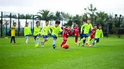 开云体育app优惠 产品 123739 v79